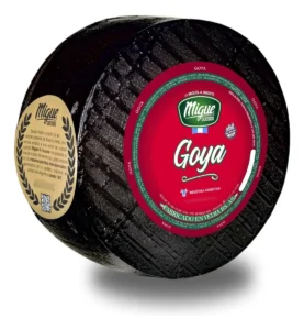 GOYA MIGUE estacionado