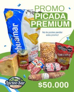PICADA PREMIUM MUNDIAL LACTEOSUR